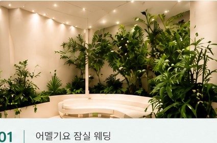 어멜기요 잠실 웨딩 · 실내조경, 생활+조화