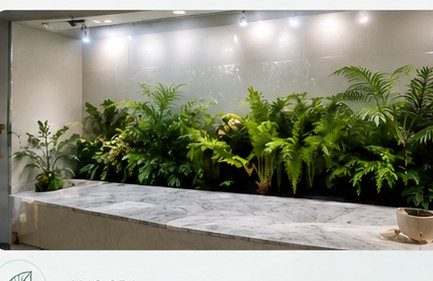 AHC SPA